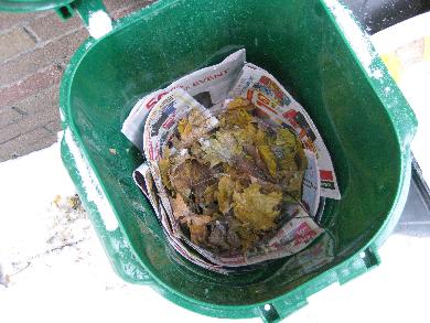 Ontario composting green bin.