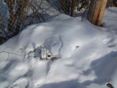 Sprinfield Precise Temp remote thermometer in use for my worm bin in winter.