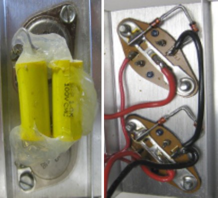 Capacitors and diodes for protecting transistors.