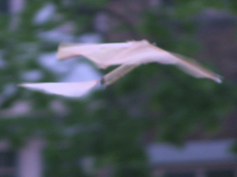 Ornithopter flying away with its wings down.