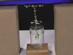 The electroscope and plate with excess negative charges drawn onto it.