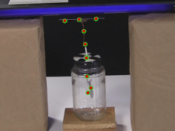 The alectroscope and plate with equal amounts of positive and negative charge drawn on them.